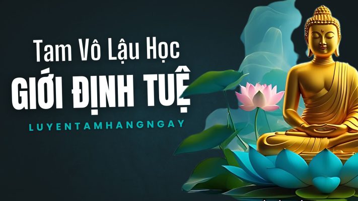 tam vô lậu học giới định tuệ
